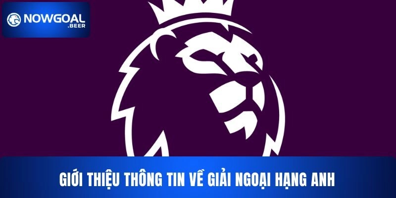 Giới thiệu về giải Ngoại Hạng Anh – Premier League cho bạn 